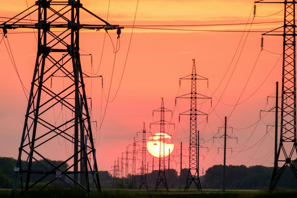 Grid Resilience